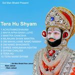 Tera Hu Shyam - Ram Jalwal Song Download